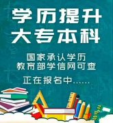 武汉理工大学本科自考专业人力资源管理招生介绍